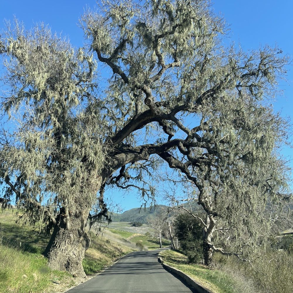 Peake Ranch - Sapna bday - Wineries Near Me - Buellton, California Peake Ranch - Sapna bday - Wineries Near Me - Buellton, California