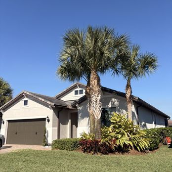 Florida Tree Removal - Tree trimming - Tree Services Near Me Florida Tree Removal - Tree trimming - Tree Services Near Me