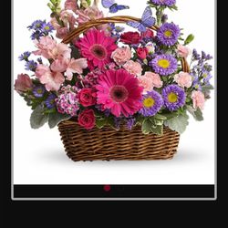 All In Bloom - Not what we delivered, but advertised.
