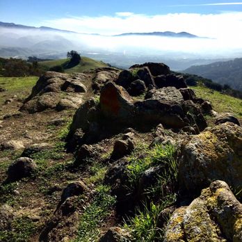 Pleasanton Ridge Regional Park - My first resting spot, not bad. About 2/3 up - Parks Near Me - Pleasanton, California