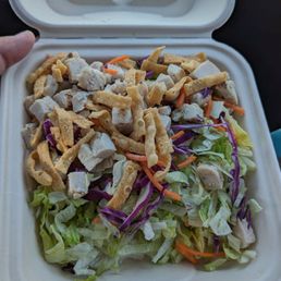 "Full size" Asian Chicken Salad
