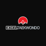 Photo of Excel Taekwondo Littleton