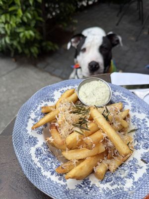 Harry's Fine Foods by null