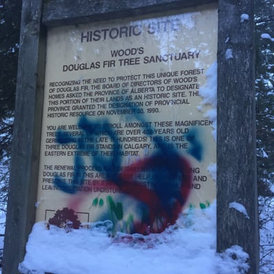 Bowness Park by null