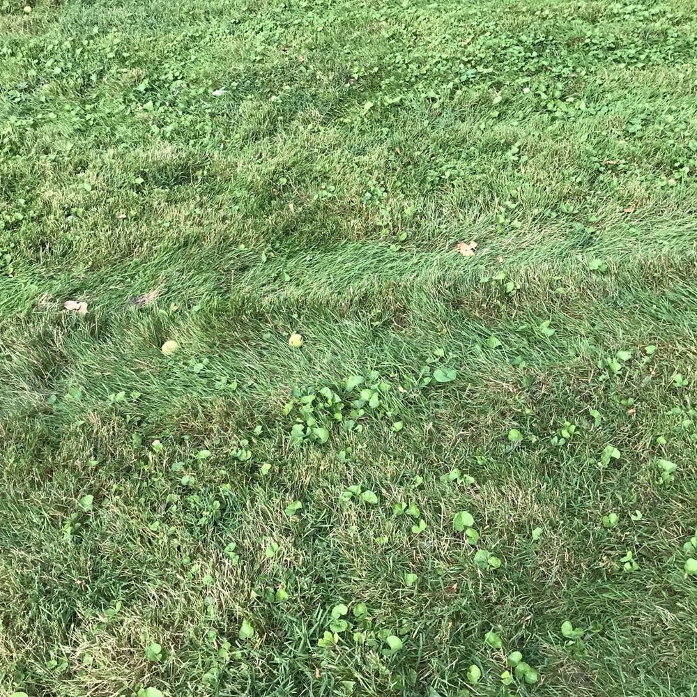 Happy Green Services - Smashed. - Landscaping Near Me - Champaign, Illinois Happy Green Services - Smashed. - Landscaping Near Me - Champaign, Illinois