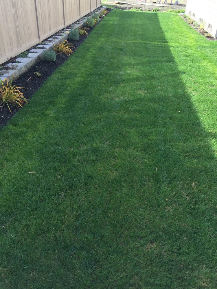 Slide of Sprinklers And Backflows