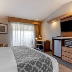 Best Western Plus Forest Park Inn - Standard King
