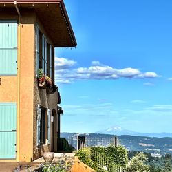 Black Walnut Inn & Vineyard - On a clear day you can see Mt Hhod