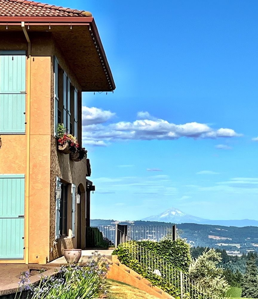 Social spots from Black Walnut Inn & Vineyard