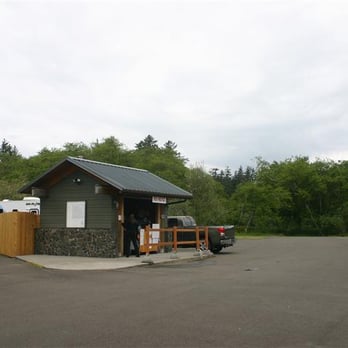 Serious Pizza Plus - Where the pizza is made (surrounded by trees with a beautiful beach nearby) - Pizza Near Me - Ilwaco, Washington