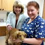 Photo of Erie Animal Hospital