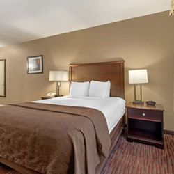 Best Western Plus Concord Inn - Queens & Double Room