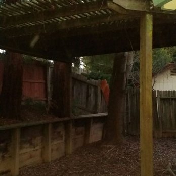 Unique Arbor Tree Care - Dark corner never gets any sunlight - Tree Services Near Me - Foresthill, California