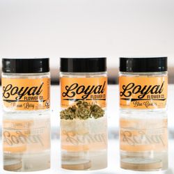 Connected Cannabis - San Francisco