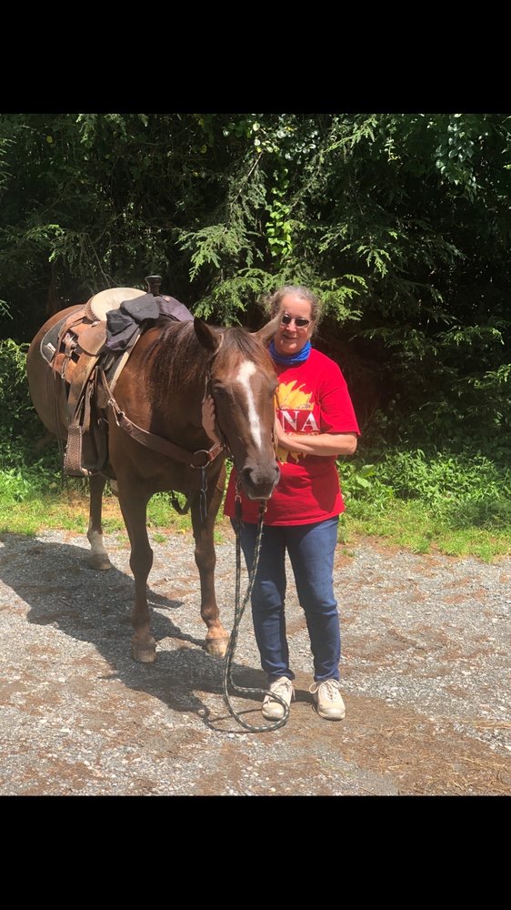 Vx3 Trail Rides - equestrian in Blowing Rock, NC