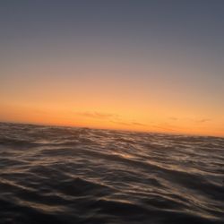 Paddle Zone - Sunset