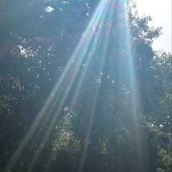 Silver Creek Linear Park