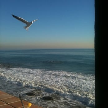 Moonshadows - Birds will steal your food if your not careful but it's nice to sit outside - Seafood Near Me - Malibu, California Moonshadows - Birds will steal your food if your not careful but it's nice to sit outside - Seafood Near Me - Malibu, California