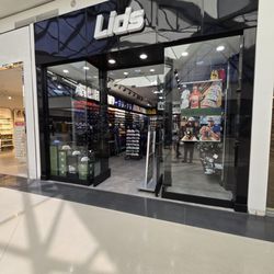 Lids