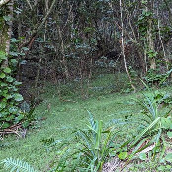 Kalalau Trail - I love this place - Hiking Near Me - Hanalei, Hawaii Kalalau Trail - I love this place - Hiking Near Me - Hanalei, Hawaii