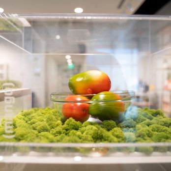 Liberty Cannabis Dispensary Springfield - Cannabis Dispensaries Near Me - Springfield, Massachusetts Liberty Cannabis Dispensary Springfield - Cannabis Dispensaries Near Me - Springfield, Massachusetts