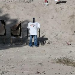 Henry's Shooting Range