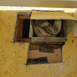 Place that bees build hives Place that bees build hives