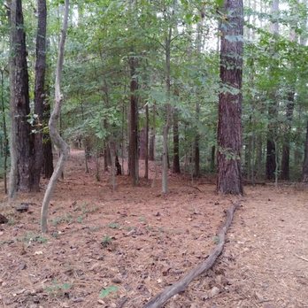 Briarlake Forest Park - Parks Near Me - Decatur, Georgia Briarlake Forest Park - Parks Near Me - Decatur, Georgia