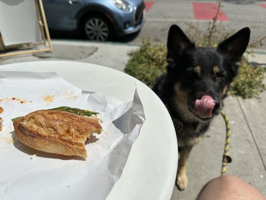 Monroe Place by null