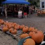 Photo of Isle of Faith Pumpkin Patch