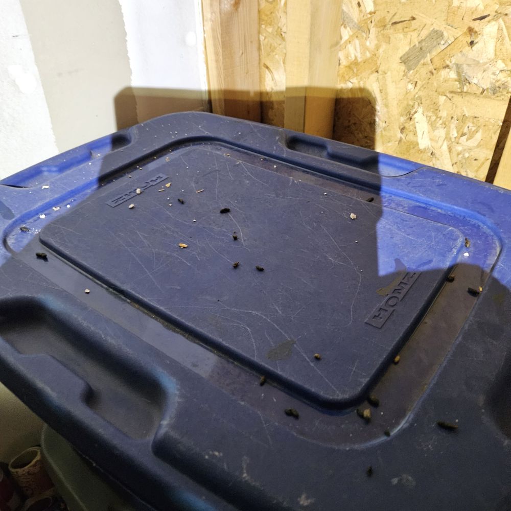 Public Storage - Bin covered in poop - Self Storage Near Me - Las Vegas, Nevada