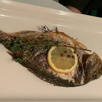 Pinturicchio - Dorado - Italian Near Me - Munich, BY Pinturicchio - Dorado - Italian Near Me - Munich, BY