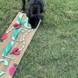 Wine & Design - Myrtle Beach - Welcome ladybug sign