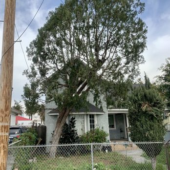 Tzuban Tree Services - After!! - Tree Services Near Me