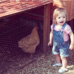 Little Seeds Farm School