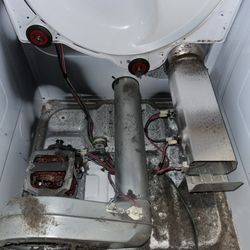 Dryer Refresh - Household with pets can really increase the amount of lint that clogs your dryer and dryer ducts. Leading to higher chance of fire hazard.