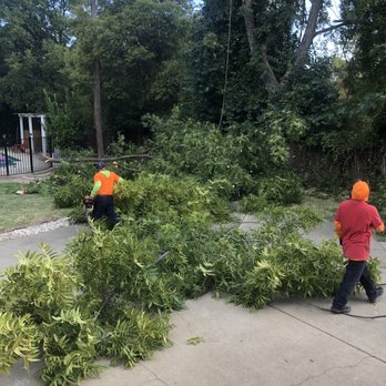 Rod's Tree Service - Tree Services Near Me - Carmichael, California Rod's Tree Service - Tree Services Near Me - Carmichael, California