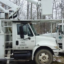 Town & Country Tree Service
