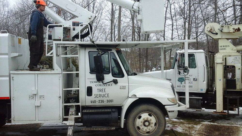 Town & Country Tree Service - tree service in Columbia Station, OH