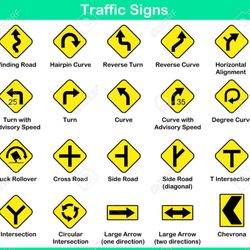 Sal's Driving School