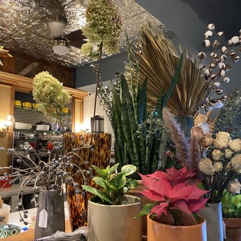 Rosecrans - a variety of potted plants on a counter - Cafes Near Me - New York, New York Rosecrans - a variety of potted plants on a counter - Cafes Near Me - New York, New York