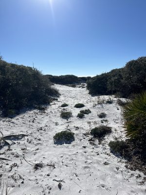 Grayton Beach State Park by null
