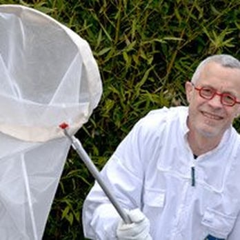 Jerry The Bee Guy - Pest Control Near Me Jerry The Bee Guy - Pest Control Near Me