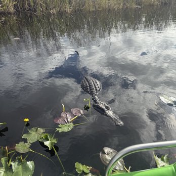 Everglades Airboat Tours - Boat Tours Near Me