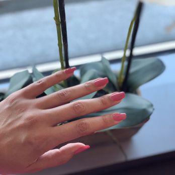 Alpha Nails - Regular manicure by Phillip - Nail Salons Near Me - Millbrae, California