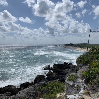 Coconuts Bar & Grill - What a view - Bars Near Me - Cozumel, ROO