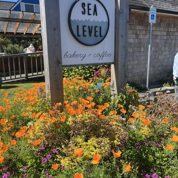 Sea Level Bakery + Coffee - Front of the cafe sign - Coffee & Tea Near Me - Cannon Beach, Oregon