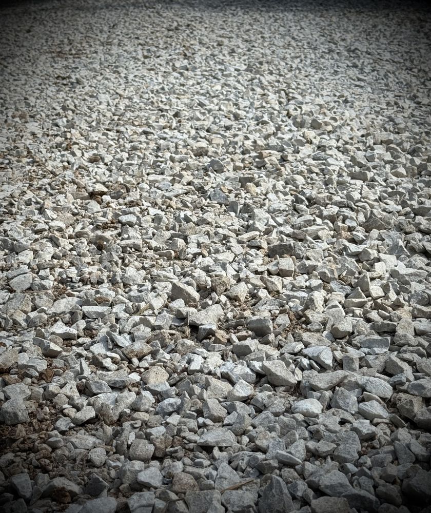 Compaction By Tree CLEAR “LEE” CLEARING - Updated October 2026 - 14 Photos - 446 McBrayer ...