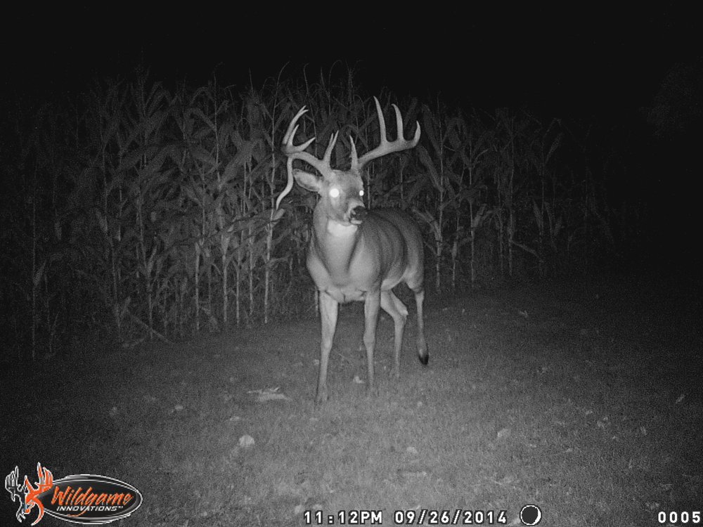 AUTO INSPECTION SERVICE 48 Photos 9570 Long Rd, Ostrander, Ohio