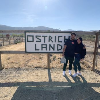 Ostrichland USA - Attraction Farms Near Me - Solvang, California